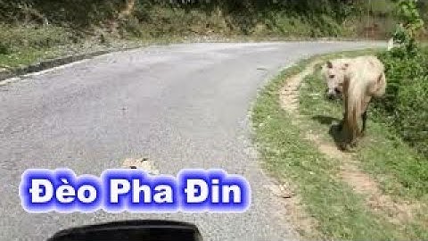 Khám phá đèo Pha Đin cũ huyền thoại