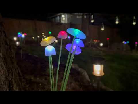 Flowers and music