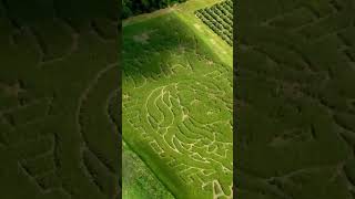 Dolly Parton’s face comes to life in massive 5-acre corn maze