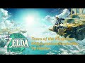Tears of the Kingdom 60fps yapma,Hileler ve Kontroller