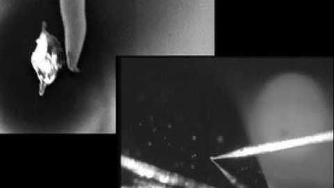 CameraMan manipulation