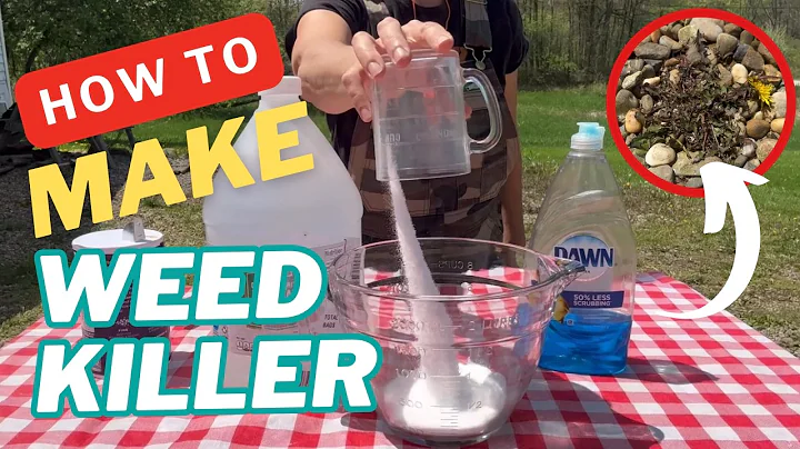 How to Make Natural Homemade DIY Non-Toxic Weed Killer That Actually Works! | 3 Ingredient Recipe