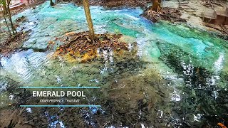 Изумрудное озеро и подводная жизнь тропических рек / Emerald Pool underwater life