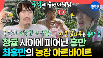 [전참시] 큰 덩치에 가려진 따뜻한 마음😊 매니저를 위해 귤 농장에서 아르바이트하는 최홍만🍊ㅣ#최홍만 MBC251011방송