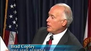 Celebrity Craigslist Prostitution Crack Down Net Worth