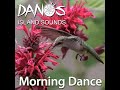 Steel Drum - Morning Dance by Dano's Island Sounds