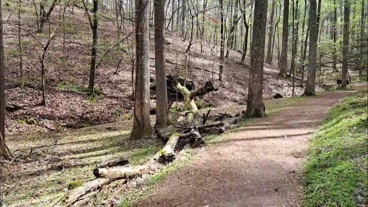 Homestead Trail at Red Top Mountain