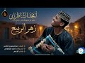 أمجد الشاطرابي زهرالربيع اغاني سودانية 2026 