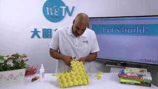 Egg Carton Animals