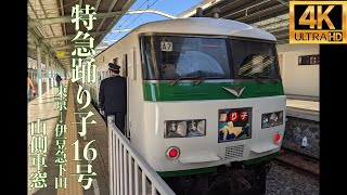 【4K/左側展望】さようなら185系 特急踊り子16号 (伊豆急下田 ⇒ 東京) / Limited Express Odoriko 16