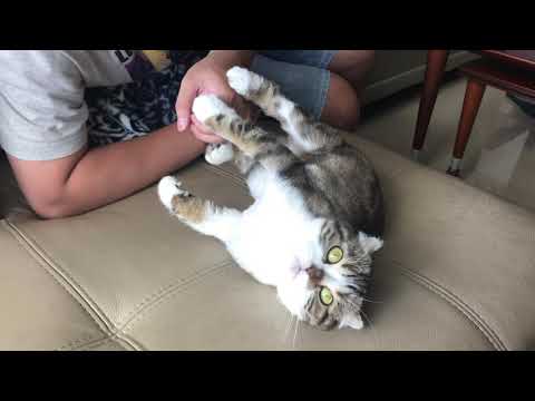 108-9-20 😺 謝主隆恩陪我玩