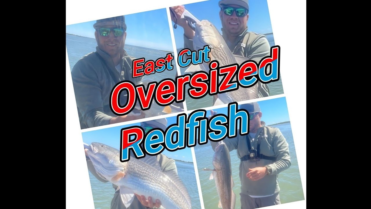 Eastern Cut Fish East Cut Oversized Redfish - YouTube