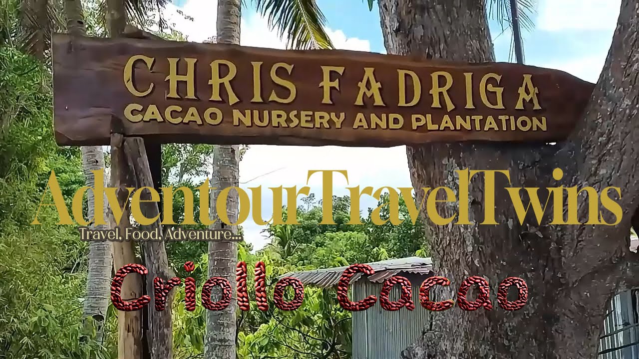 World's BEST Cacao - Chris Fadriga Cacao Nursery, Bago City, Negros Occidental PH
