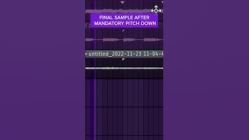 Making a Melodic Sample for Don Toliver | Analog Lab V