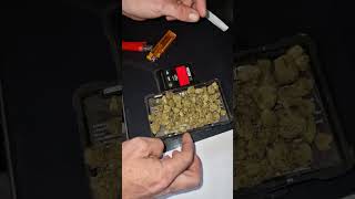 CURO - Black cherry punch x La bomba Medical flower  News