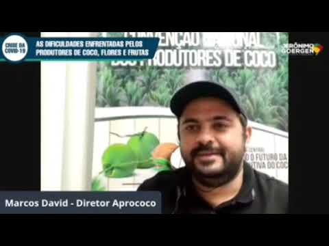 Dificuldades e desafios dos produtores de coco