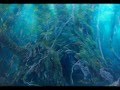 YUKO TAKADA WORK "水の森"