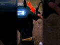 पहली बार किसी Scooter🛵में Kill Switch मिल रहा है #shorts #tvsorbiter #electricscooter #manozxony