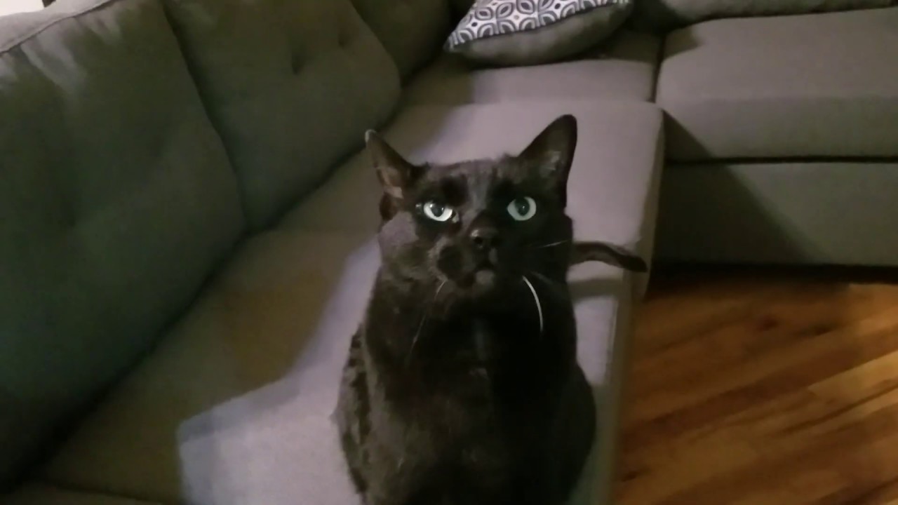 macbook pro a1278 Nine year viewer of Eli the Computer Guy offers SERIOUS feedback!