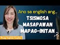 Ano sa english ang tsismosa mapaginitan at masapawan