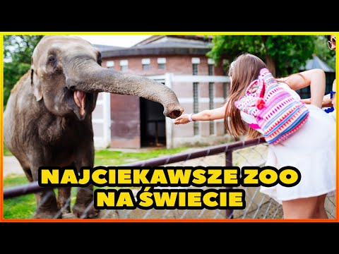 Wideo: Najciekawsze ogrody zoologiczne na świecie