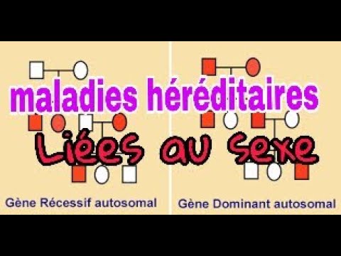 Vidéo: Comprendre La Génétique Derrière Une Maladie Humaine Complexe Avec Des Collections IPSC à Grande échelle