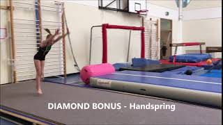 DIAMOND LEVEL BONUS: HANDSPRING