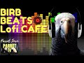 Birb Beats Cafe | Smooth Chillhop Parrot Music TV for Your Bird Room | Parrot Town Sounds Included🎶