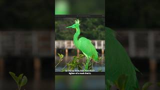 Lightroom’s improved Adaptive Subject mask is so much more accurate than before!