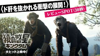 レビューSPOT〈ド肝を抜かれる衝撃の展開！〉（30秒）｜映画『猿の惑星／キングダム』 ｜大ヒット上映中！