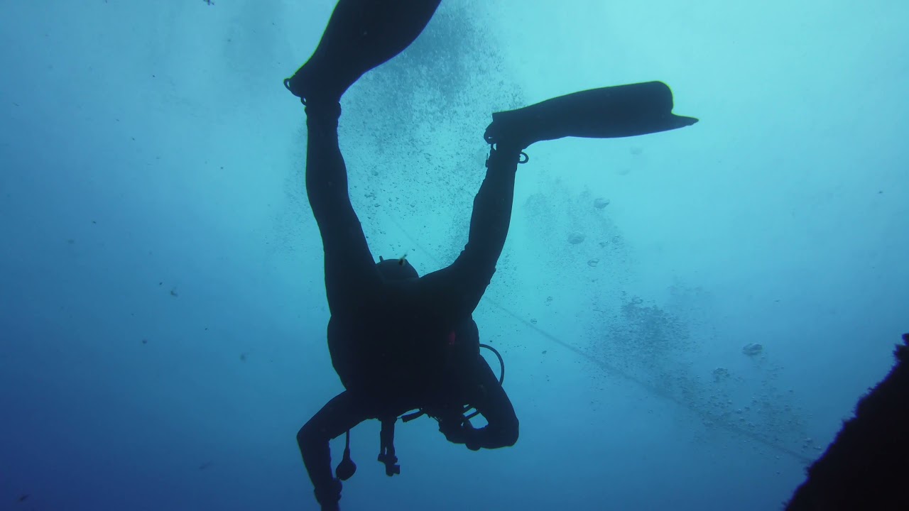 Tauchgang zum Wrack der Afonso Cerqueira vor Madeira (Wreckdive)