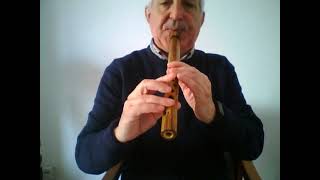 Splanish flea (Julius Wechter) - Quena flute