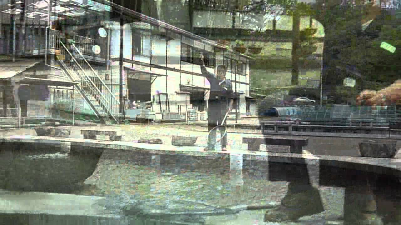 鯉釣り堀 Wmv Youtube