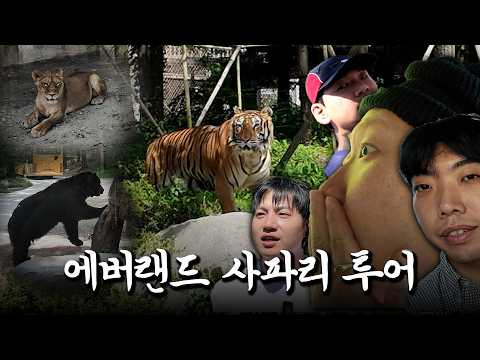 늙크크 투어! 에버랜드 사파리 첫경험!