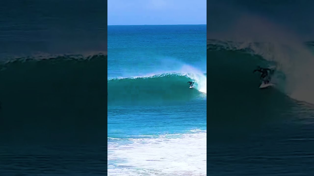Clips