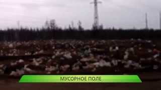 03.04.2015 Служба новостей 03.04.2015 Служба новостей
