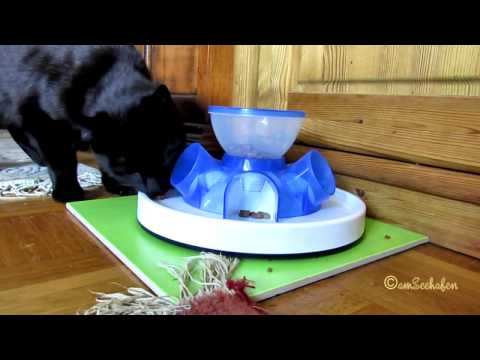 cat activity tunnel feeder