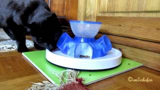 trixie tunnel cat feeder