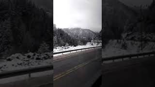 Trabzon/ zigana dağı  baran bari