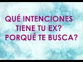 💖✨QUE QUIERE TU EX? PORQUE TE BUSCA? TAROT AMOR INTERACTIVO