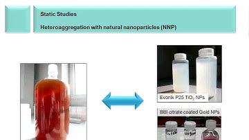 UC CEIN Seminar Series: Frank von de Kammer - Nanoparticle Behavior in Environmental Test Media