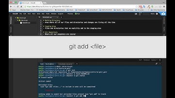 Git - Review the Basics