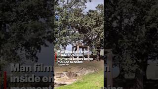 Man Films Tiger From Inside Enclosure Moments Before Being Mauled To Death
