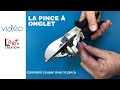 La pince  onglet de lart et cration