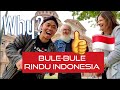 MENGAPA BANYAK BULE JATUH CINTA DENGAN INDONESIA?