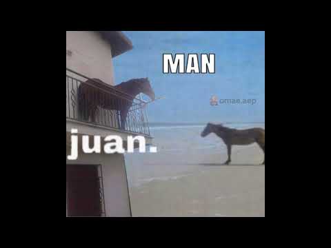 Juan Horse On Balcony Video Gallery Know Your Meme