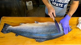 How To Fillet a Whole Big Salmon  How To Make Salmon Sashimi and Sushi 鮭魚切割技能生魚片及壽司!