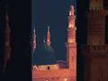 Divana hu nabi ka phachante nahi#oldnaat #naatsharif #shortvideo
