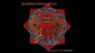 SubArachnoid Space - Talking Tina & Her Mechanical Frog screenshot 1