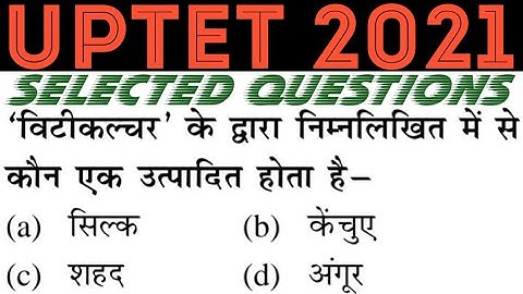 UPTET 2021 || Junior Super TET EVS Most Important Questions || UPSI Police Exam